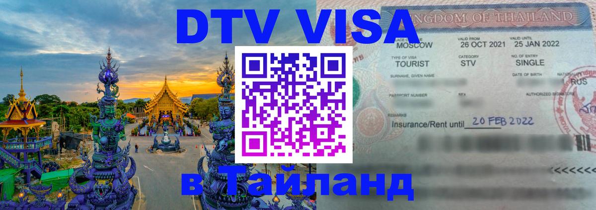 Оформление DTV визы под ключ: стоимость и тарифы, только загранпаспорт - Калининград  10.01.2026 